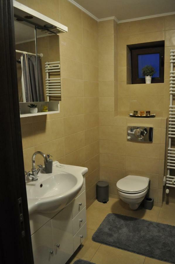 Sleep & Fly Apartment Otopeni Exteriér fotografie
